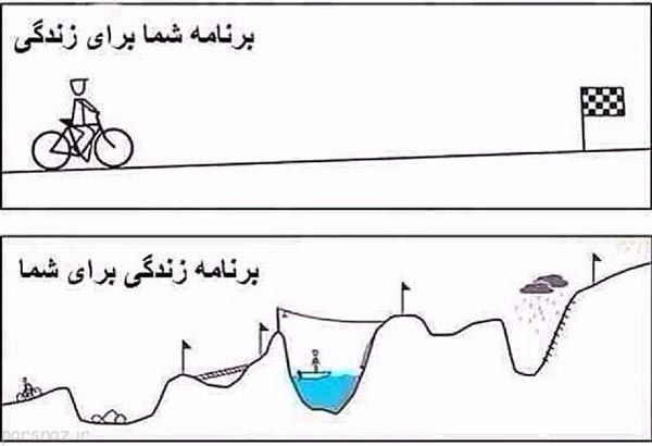 مجموعه ای جالب از تصاویر بامزه و متنوع هفته