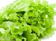 خاصیت های مفید کاهو و سکنجبین