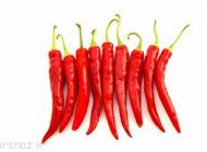 غذاهای تند چه ویزگی هایی دارند؟