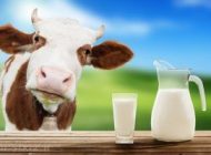 آیا مصرف لبنیات موجب آکنه می شوند؟