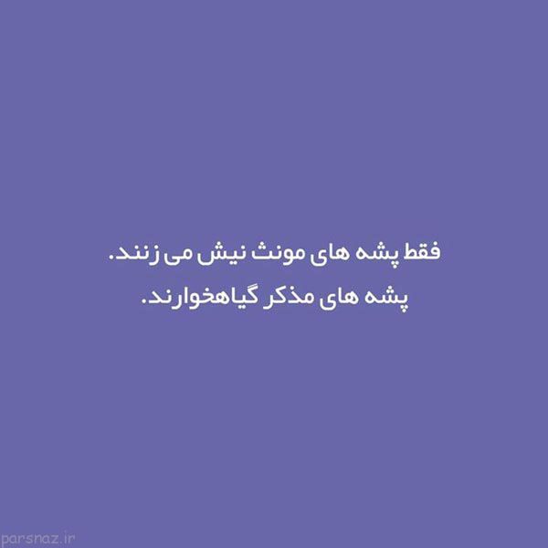 ترفندهای ساده و دانستنی های مهم برای امور زندگی