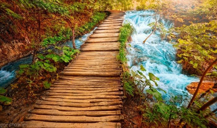 مجموعه تصاویر از طبیعت زیبا و چشم نواز