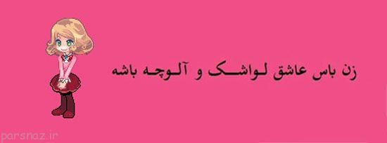عکس های طنز زن باس اینجوری باشه!