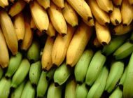 فواید بیشمار موز را بشناسیم