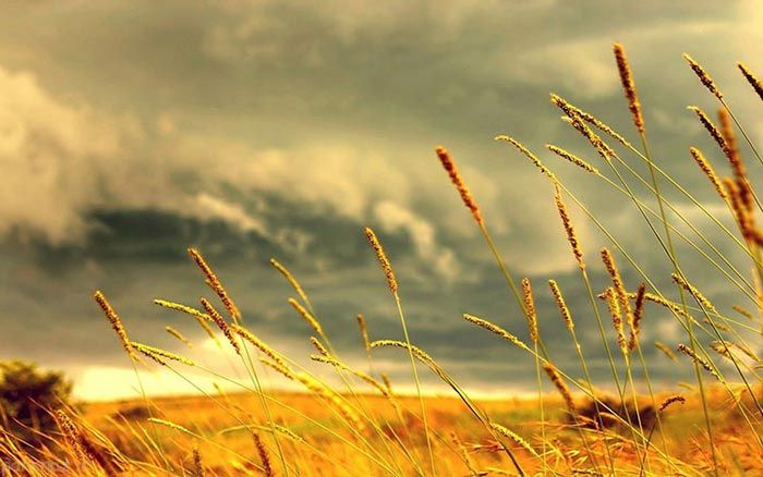 بهترین مقصدهای گردشگری برای تابستان +عکس