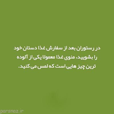 علمی و دانستنی های مهم به صورت تصویری