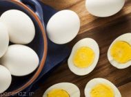 نقش کولین در بدن را بدانیم