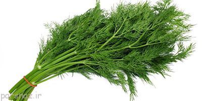 از خواص مفید شوید آگاه شویم