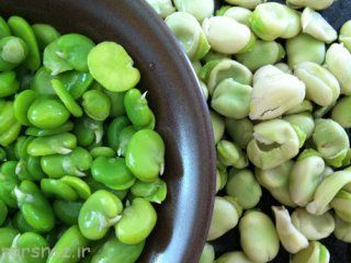 با خواص باقلا در طب سنتی آشنا شویم