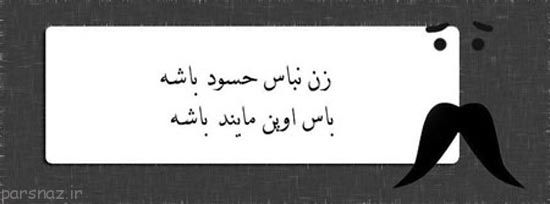عکس های طنز زن باس اینجوری باشه!