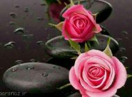 شعر احساسی زندگی زیباست