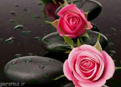 شعر احساسی زندگی زیباست
