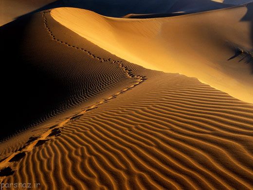 کویر لوت و زیبایی هایش را ببینیم