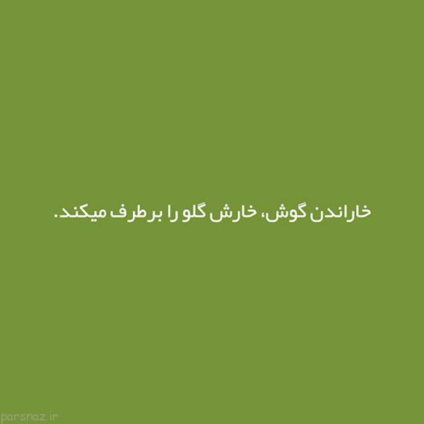 ترفندهای ساده برای زندگی روزمره علمی و دانستنی ها