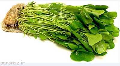 خواص سبزی شاهی را بشناسیم