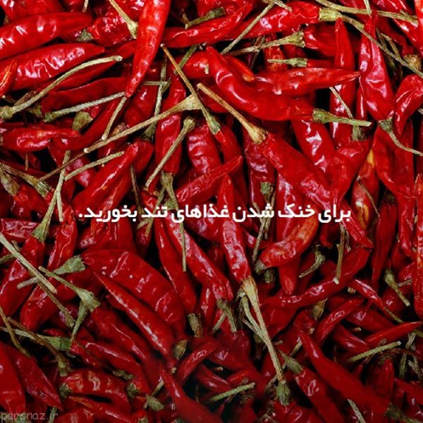 علمی و دانستنی های مهم به صورت تصویری