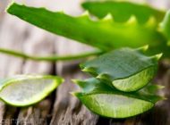 فواید آلوئه ورا برای پوست