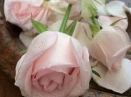 اس ام اس و پیامک فلسفی زیبا برای زندگی