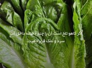 دانستنی و ترفندهای کاربردی و مفید برای زندگی روزمره