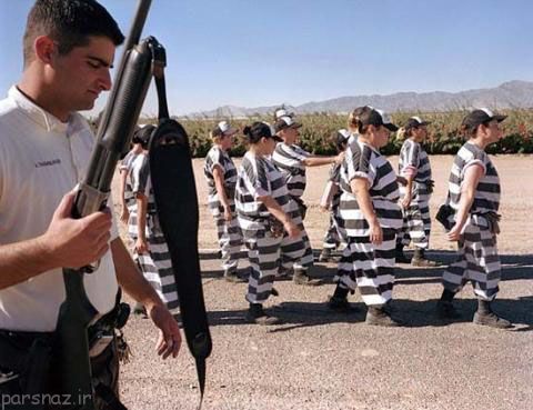 تصاویر زنان زندانی در کشور آمریکا
