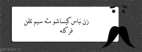 عکس های طنز زن باس اینجوری باشه!