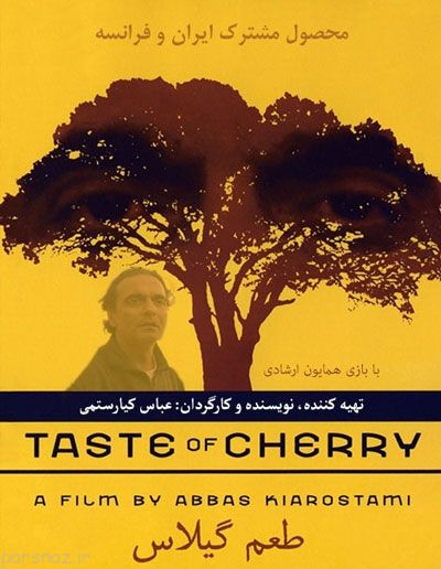 کیارستمی در سطح جهانی چه کار کرد؟