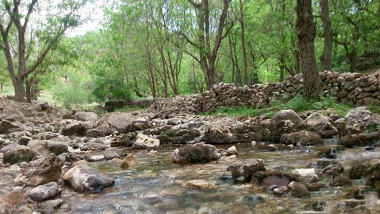 خنک ترین مکان های ایران در فصل تابستان