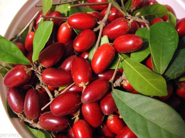 میوه های جالب و غیر عادی در جهان