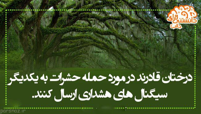 دانستنی های علمی و مهم به صورت گزارش تصویری