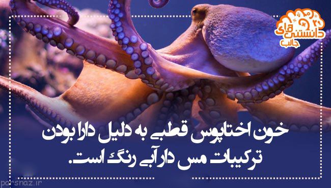 دانستنی های علمی تصویری برای بیشتر دانستن