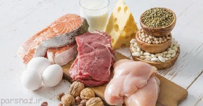 پروتئین گیاهی و حیوانی چه تفاوت هایی با هم دارند؟