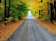 شعر بسیار زیبا از احمد شاملو