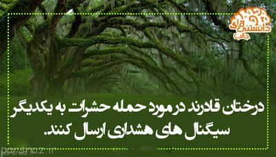دانستنی های علمی و مهم به صورت گزارش تصویری