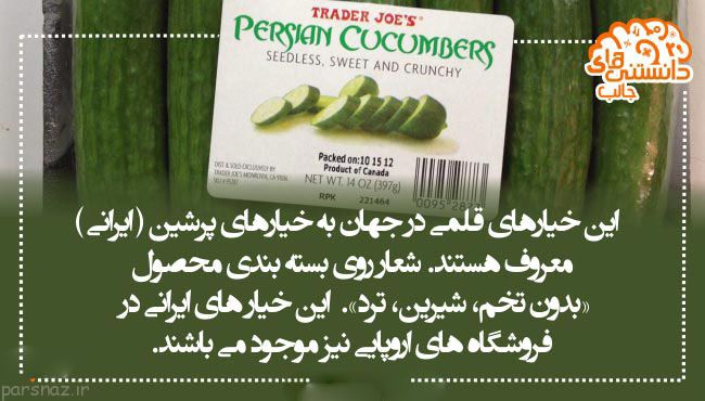سری جدید دانستنی های علمی تصویری برای شما