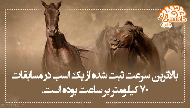 دانستنی های علمی و مهم به صورت گزارش تصویری