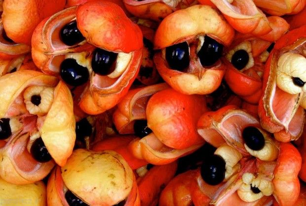 میوه های جالب و غیر عادی در جهان