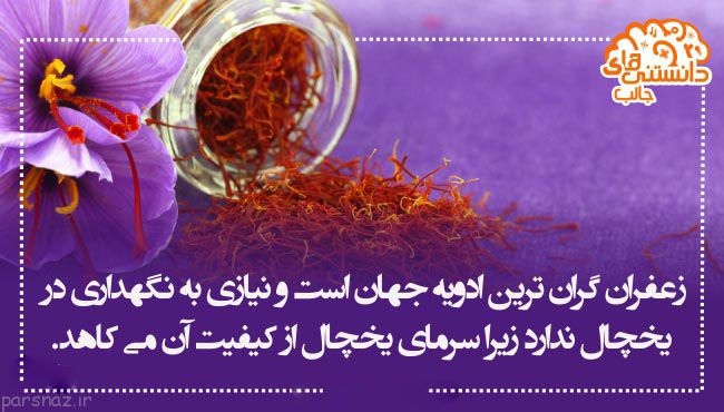 دانستنی های علمی و مهم به صورت گزارش تصویری