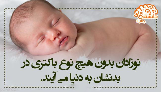 دانستنی های علمی و مهم به صورت گزارش تصویری