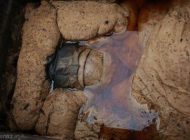 زن مومیایی 700 ساله در چین پیدا شد
