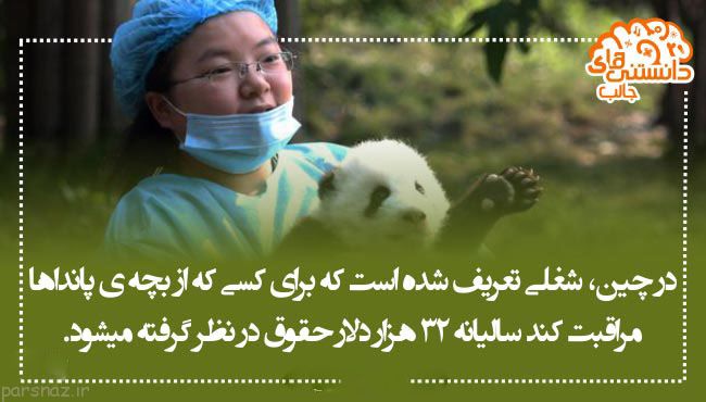 دانستنی های علمی و مهم به صورت گزارش تصویری