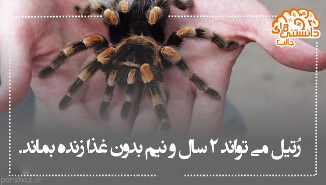 سری جدید دانستنی های علمی تصویری برای شما