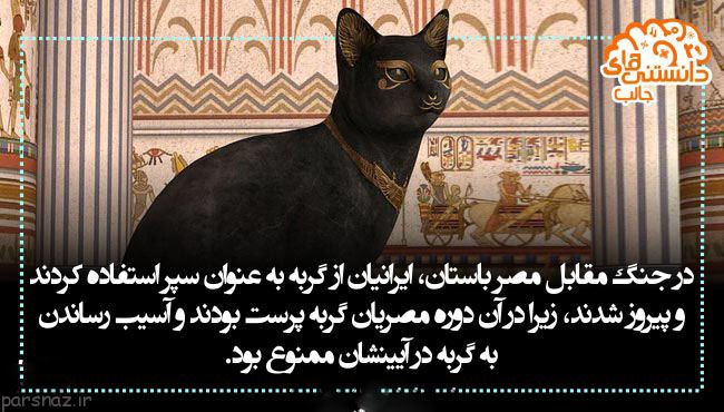 سری جدید دانستنی های علمی تصویری برای شما