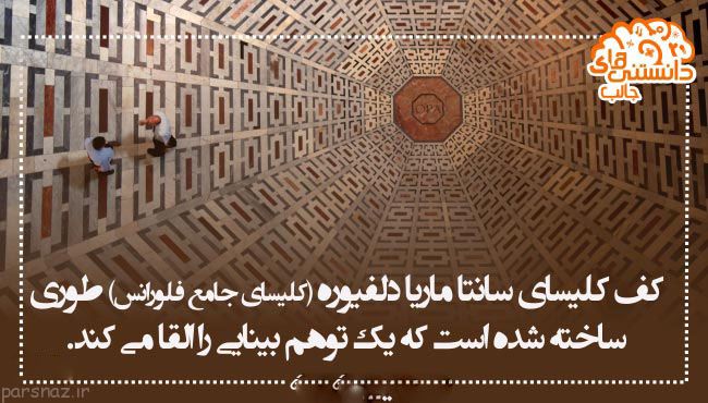 دانستنی های علمی تصویری برای بیشتر دانستن