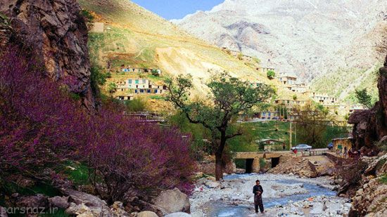 صنعت توریسم در ایران رونق می گیرد؟