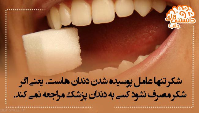 سری جدید دانستنی های علمی تصویری برای شما