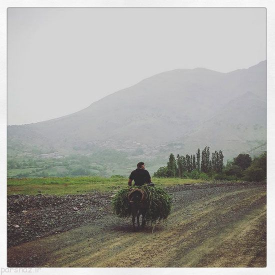 شمال تا جنوب ایران به روایت عکس