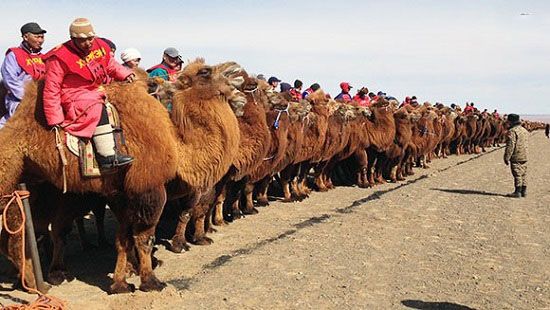 رکوردهای عجیب که در گینس ثبت شده اند +عکس رکوردهای عجیب که در گینس ثبت شده اند +عکس