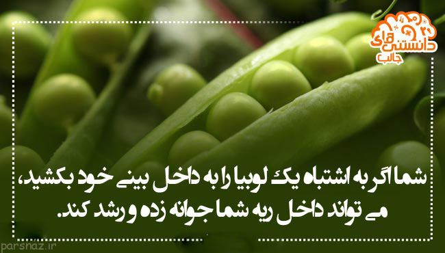 سری جدید دانستنی های علمی تصویری برای شما