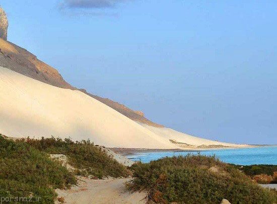 جزیره سوکوترا غریب ترین مکان روی زمین
