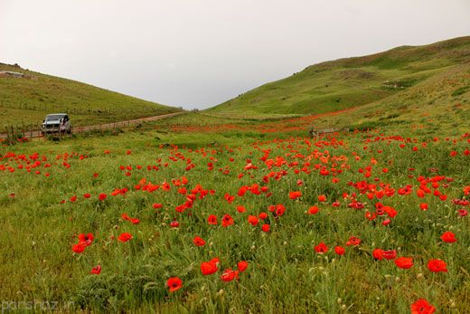 سفر به بهشت سوباتان در گیلان